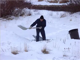 small_031229 coPICT0600.webp